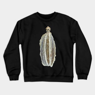 Carrot seed under microscope Crewneck Sweatshirt